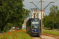 Tramwaje 2019