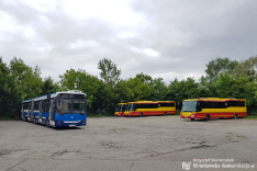 Jelcz M181MB/3 #551, SOR CN12 #509, SOR CN12 #508, SOR BN8,5 #524