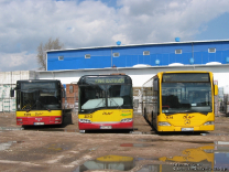 MAN NL223 #2009, Solaris Urbino 12 #2013 i Mercedes-Benz O530 #534