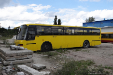 Neoplan N316 L/NF #706