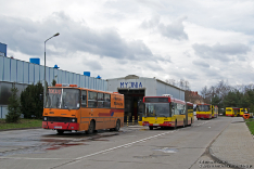 Ikarus 280.26/A #1229 i Volvo 7000A #8096