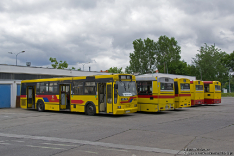 Jelcz M121M #9508, Jelcz M121M #9534, Jelcz M121MB #9560, Jelcz M121M #9539 i Jelcz M121M #9563