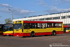 Jelcz M121M #9519