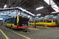 Mercedes-Benz O530 #7315