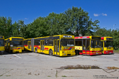 Jelcz M121M #9550, Jelcz M181MB #8500, Volvo B10BLE 6x2 #8038 i Jelcz M121M #9539