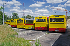 Jelcz M121M #9529, Jelcz M121MB #9563, Jelcz M121M #9534, Jelcz M121MB #9557 i Jelcz M121M #9514