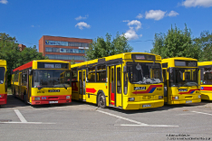 Jelcz M121M #9532, Jelcz M121M #9508 i Jelcz M121M #9547